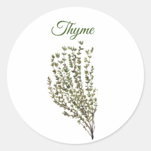 Thym-Kraut Grünzeug Küche Kulinarik Grüne Pflanze  Runder Aufkleber