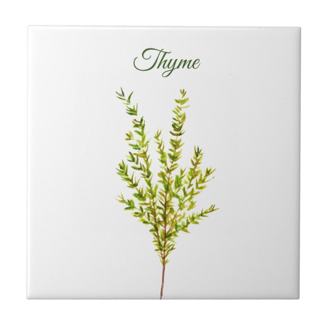 Thyme Herb Greenery Küche Kulinarisch Grüne Pflanz Fliese (Vorderseite)