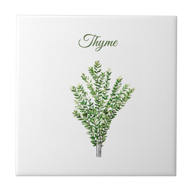 Thyme Herb Greenery Küche Kulinarisch Grüne Pflanz Fliese (Vorderseite)