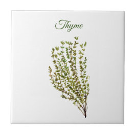 Thyme Herb Grüne Küche Kulinarisches Grüne Pflanze Fliese