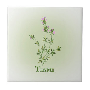 Thyme Herbal Design Keramik Tile Fliese