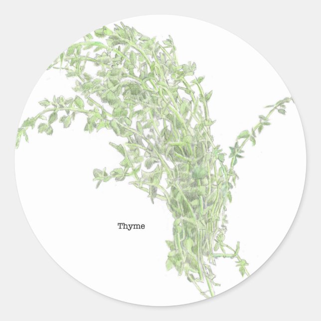 Thyme Zeichnend Runder Aufkleber (Vorderseite)