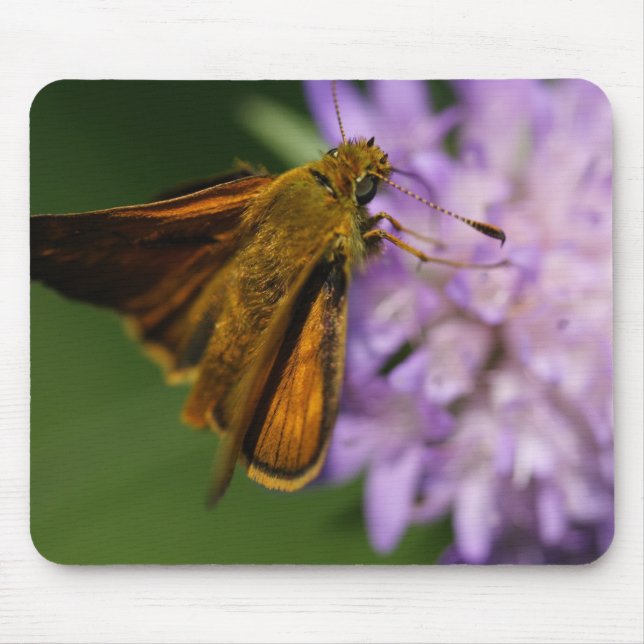 Thymelicus lineola mousepad (Vorne)