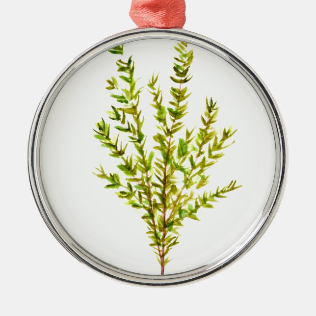 Thymian Kräuter Botanische Kräuter Ornament Aus Metall (Vorne)