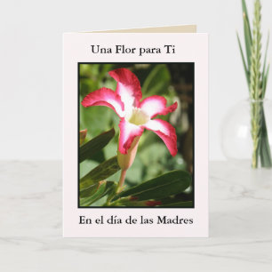 Ti Dia de Las Madres Una Flor Para Karte
