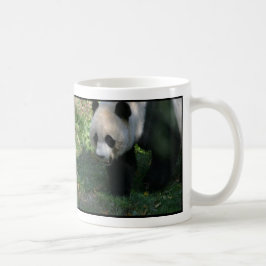 Tian Tian und Mei Xiang Panda-Staatsangehörig-Zoo Kaffeetasse