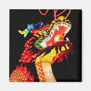 Tianlong-Drache Magnet