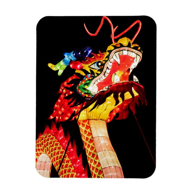 Tianlong-Drache Magnet (Vertikal)