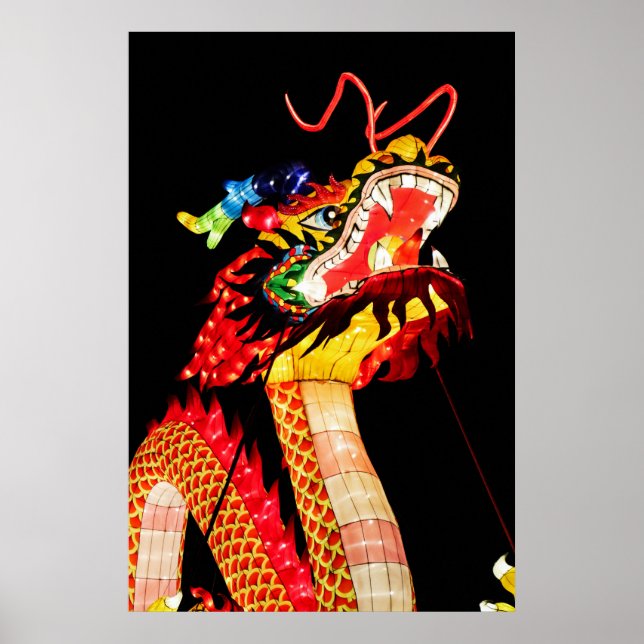 Tianlong-Drache Poster (Vorne)