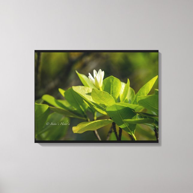 "Tiare Tahiti"-Foto von Itata'e Hoho'a Leinwanddruck (Vorderseite)