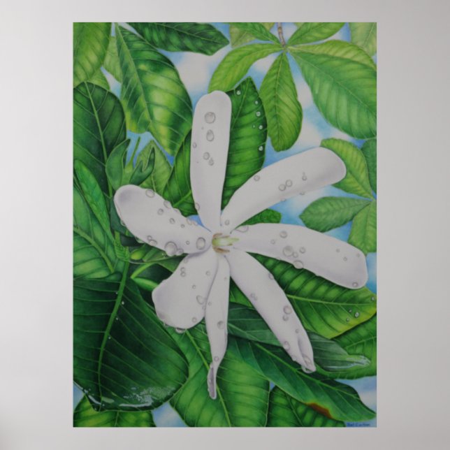 Tiare Tahiti Poster (Vorne)