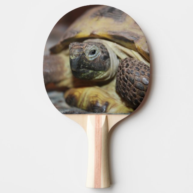 Tibbs Tischtennis Schläger (Vorderseite)