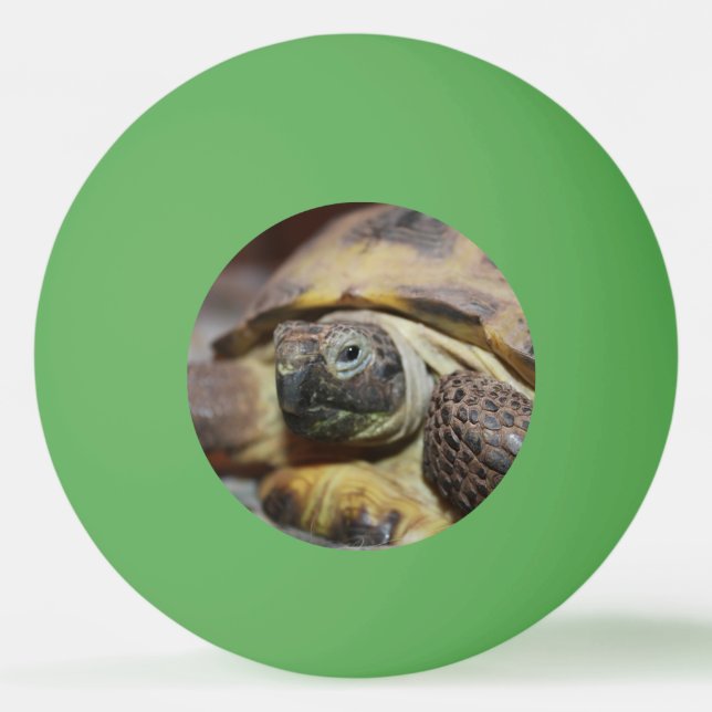 Tibbs Tischtennisball (Vorderseite)