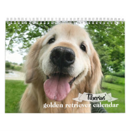 Tiberius 2020 Goldener Retriever Kalender