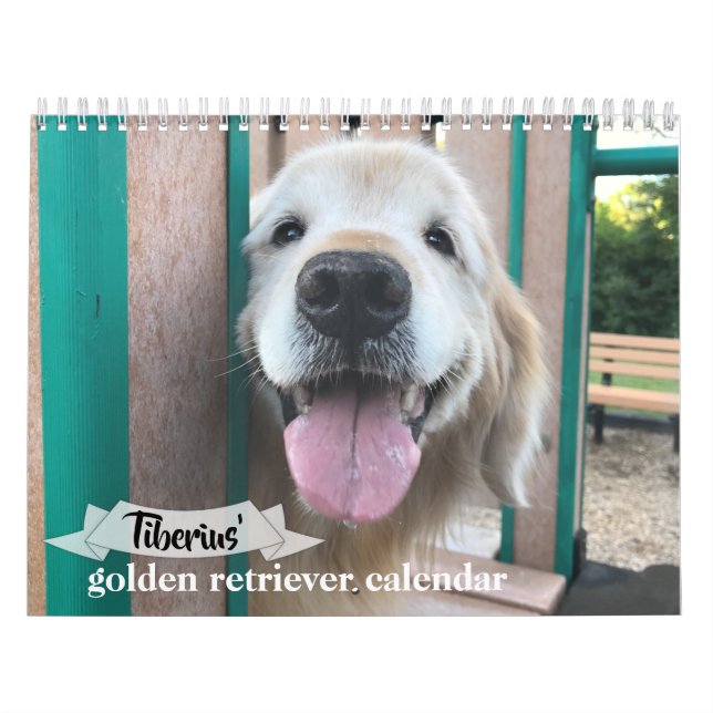 Tiberius’ Goldener Hundekalender 2021 Kalender (Titelbild)