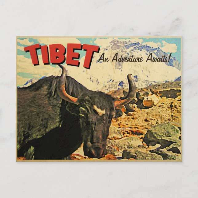 Tibet Adventure Awaits Ox Postkarte (Vorderseite)