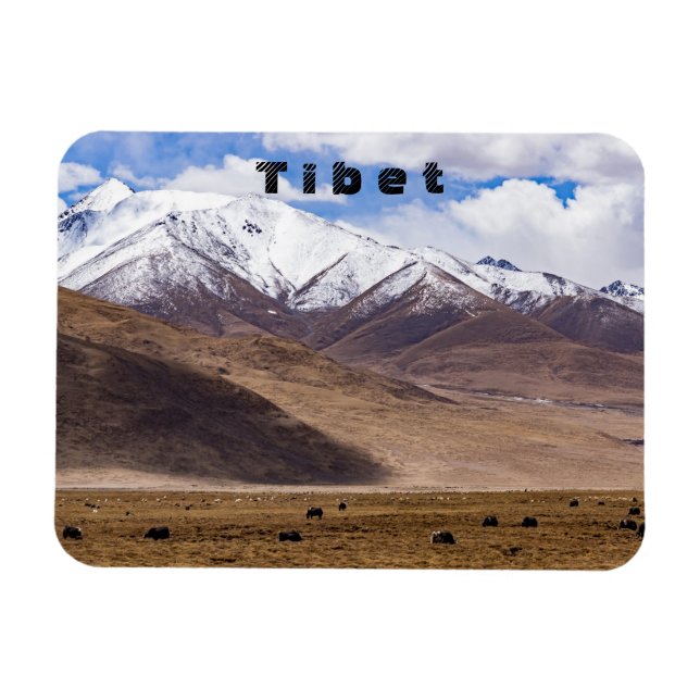 Tibet - Berglandschaft mit Yaks Magnet (Horizontal)