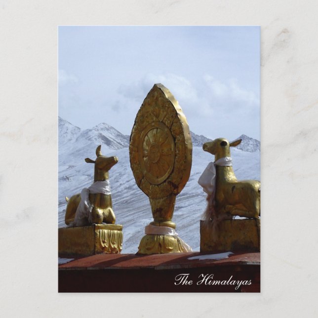 Tibet, Ganden Kloster Hirsche, die Dharma-Rad dreh Postkarte (Vorderseite)