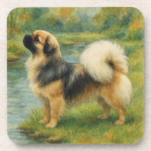 Tibet-Spaniel