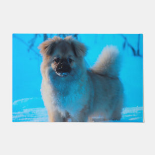 Tibet-Spaniel Hunde. Fußmatte