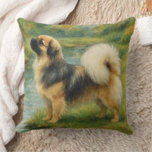Tibet-Spaniel