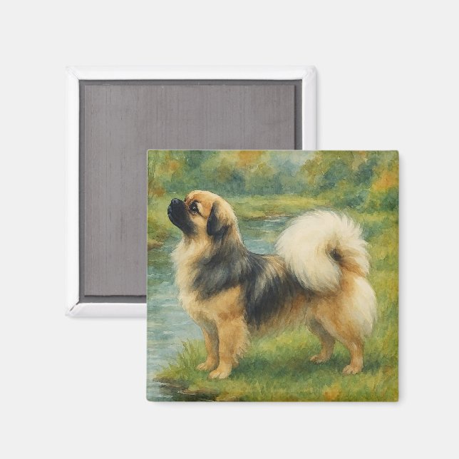 Tibet-Spaniel Magnet (Vorderseite/Rückseite)
