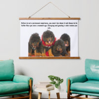 Tibetan Mastiff Niedlich Brown Welpen