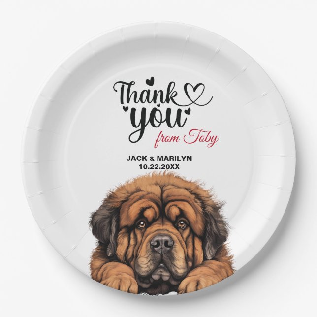 Tibetan Mastiff Pappteller (Vorderseite)