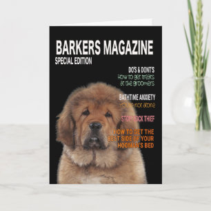 Tibetan Mastiff Parodie-Magazin-Cover-Karte Karte