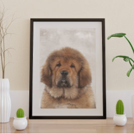 Tibetan Mastiff Poster