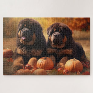 Tibetan-Mastiff-Welpe Herbstfreude Kürbis 