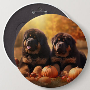 Tibetan-Mastiff-Welpe Herbstfreude Kürbis  Button