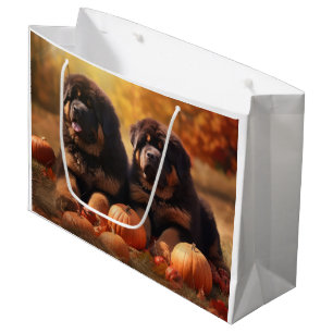 Tibetan-Mastiff-Welpe Herbstfreude Kürbis Große Geschenktüte