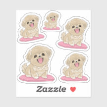 Tibetan Spaniel 5x 