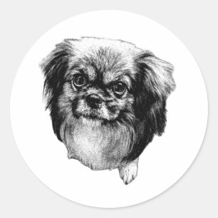 Tibetan Spaniel Aufkleber – Vollkörper-Foto eines