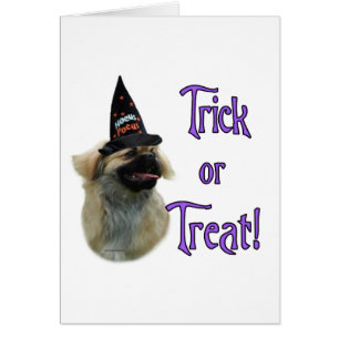 Tibetan Spanischer Trick