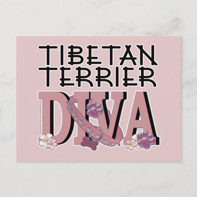 Tibetan Terrier DIVA Postkarte (Vorderseite)