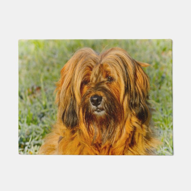 Tibetan Terrier Fußmatte (Vorderseite)