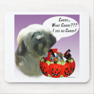 Tibetan Terrier Halloween Candy Mousepad