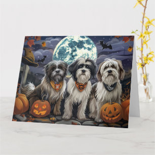 Tibetan Terrier Halloween Spooky Karte