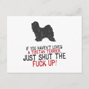 Tibetan Terrier Postkarte