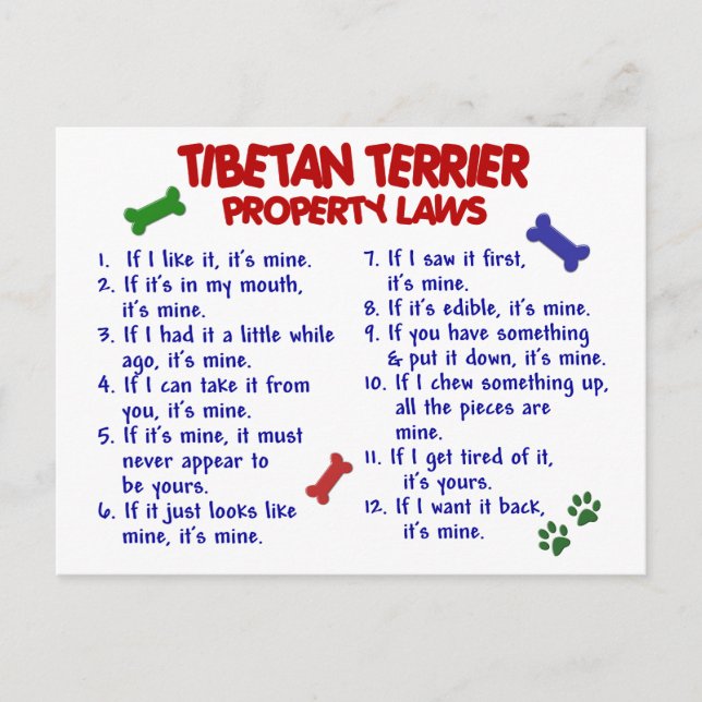 TIBETAN TERRIER Property Laws 2 Postkarte (Vorderseite)