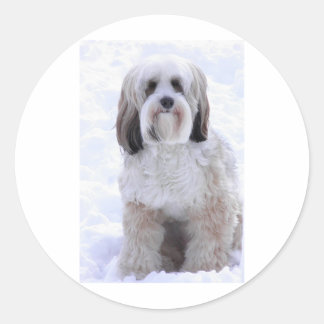 Tibetan Terrier Sable und White Runder Aufkleber