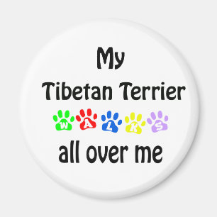 Tibetan Terrier Walks Design Magnet