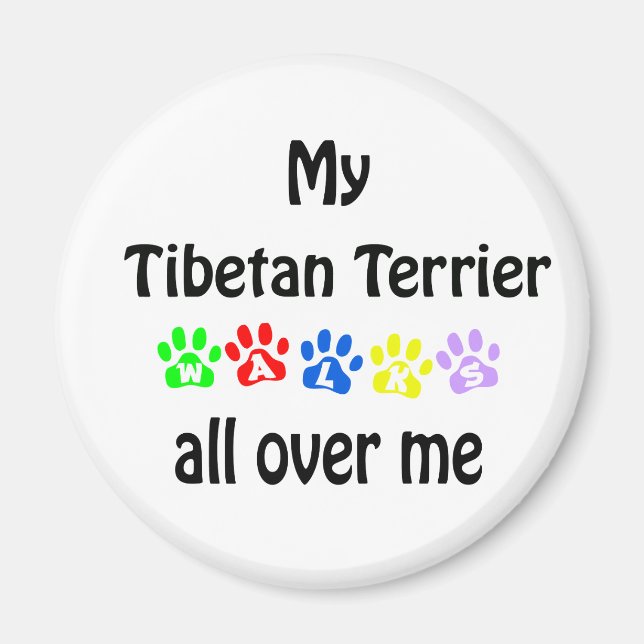 Tibetan Terrier Walks Design Magnet (Vorne)