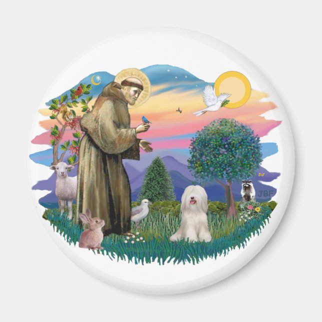 Tibetan Terrier (weiß) Magnet (Vorne)