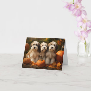 Tibetan Terrier Welpe Herbstfreude Kürbis Karte