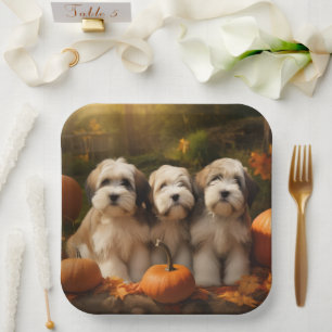 Tibetan Terrier Welpe Herbstfreude Kürbis Pappteller