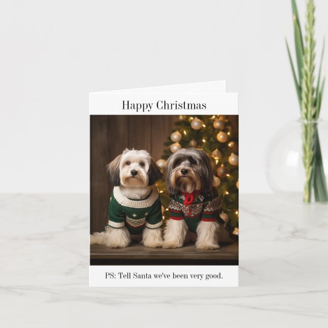 Tibetan Terriers Weihnachtskarte Karte (Vorderseite)