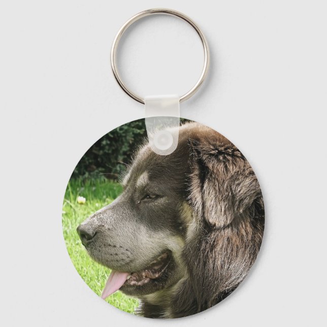 Tibetaner mastiff.png schlüsselanhänger (Vorderseite)